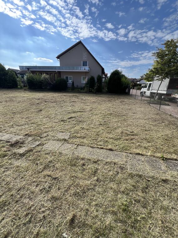 Verwildertes Grundstück zurückgeholt