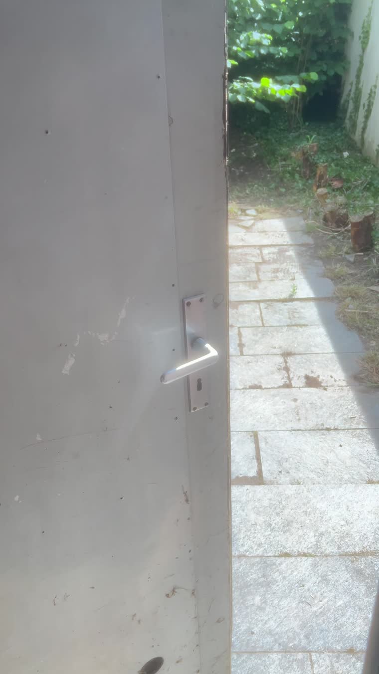 Zugewachsener Zugang freigelegt