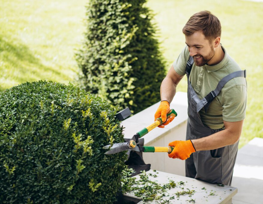 Garden worker trimming trees with scissors in the yard