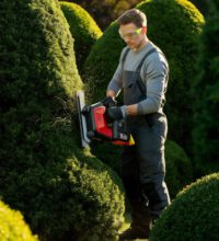 male-gardener-cutting-hedge-shaping-big-green-bushes-using-red-black-electric-trimming-machine