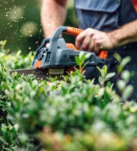 Man worker cutting bushes with an electric saw in the yard.