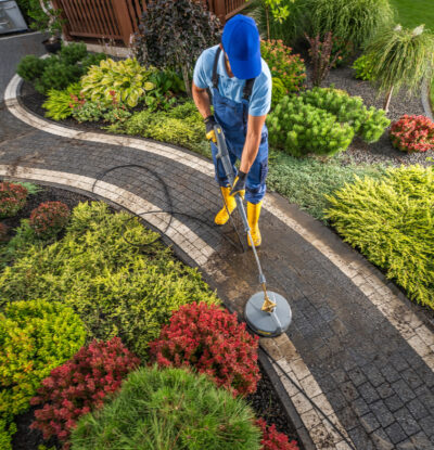 A gardener cleans a paved walkway with a pressure washer while colorful plants and foliage fill the garden.